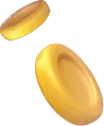 Coins decoration